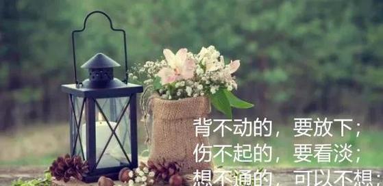 关于人生留香的句子有哪些？如何用这些句子来美化生活？