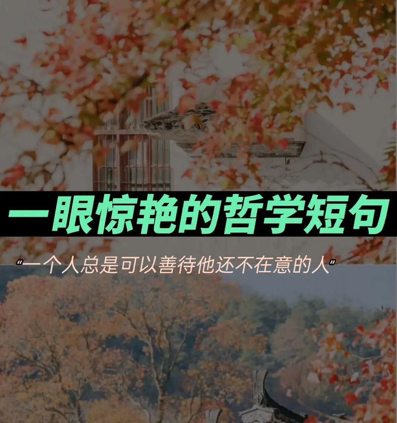 关于人生观价值观的好句好段有哪些？如何在日常生活中应用？