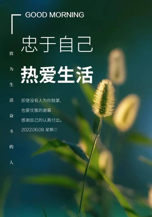 关于人生榜样的名言精选？如何从名言中汲取力量？