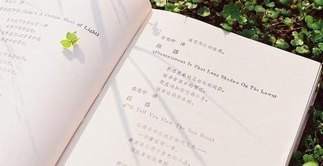 关于墙角的唯美句子有哪些？如何用诗句表达墙角之美？