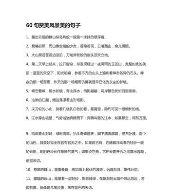 关于美德表扬的句子有哪些？如何在日常生活中运用？