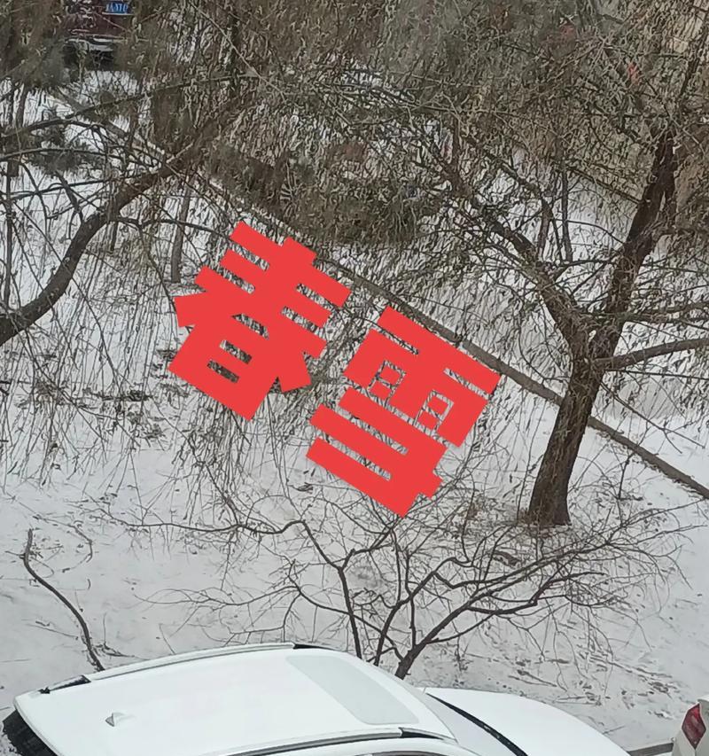 今年第一场雪的说说怎么写？有哪些创意表达方式？