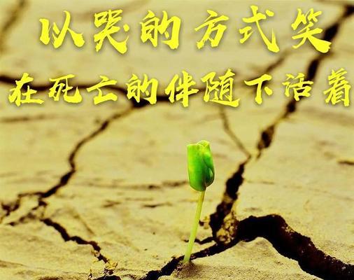 关于坚强活下去的名言有哪些？如何在逆境中找到力量？
