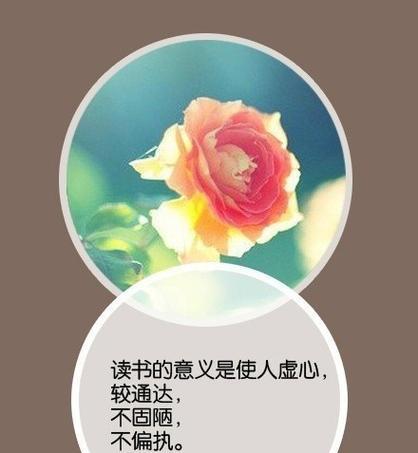 关于读书境界优美句子有哪些？如何通过阅读提升个人境界？