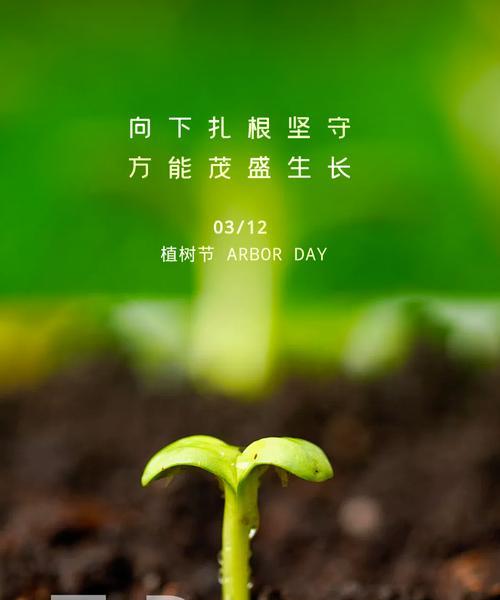 春天植树节的句子有哪些？如何用这些句子表达植树的重要性？