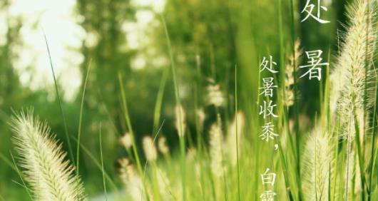 处暑时节的唯美简短句子有哪些？如何表达处暑的美？