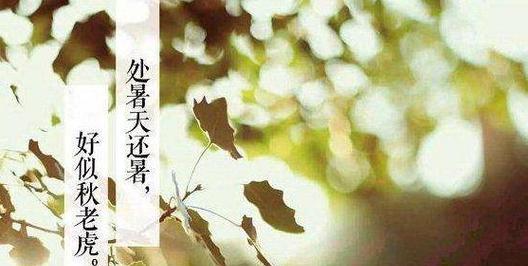 处暑时节的唯美简短句子有哪些？如何表达处暑的美？