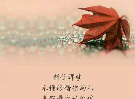 关于爱情的不平衡的句子？如何平衡爱情中的不平等？