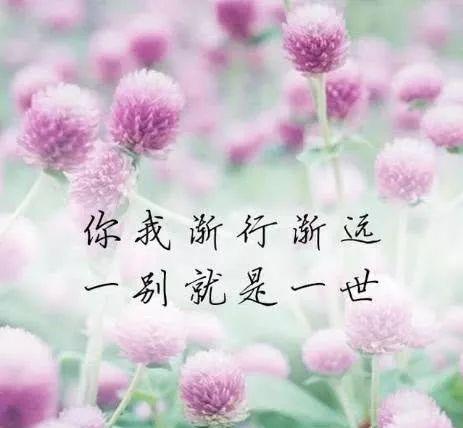 孤独等待爱情的句子有哪些？如何用句子表达等待爱情的孤独感？