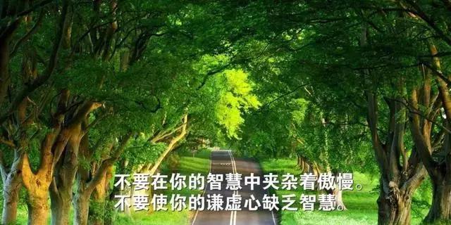 公司传播正能量的句子有哪些？如何在日常工作中体现正能量？