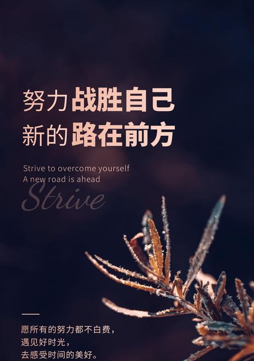 如何找到激励自己的坚持句子？坚持不下去时怎么办？