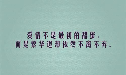 富有含义的爱情句子有哪些？如何找到最打动人心的句子？
