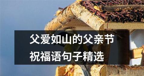 父亲节朋友圈祝福语139条怎么选？如何表达对父亲的爱？