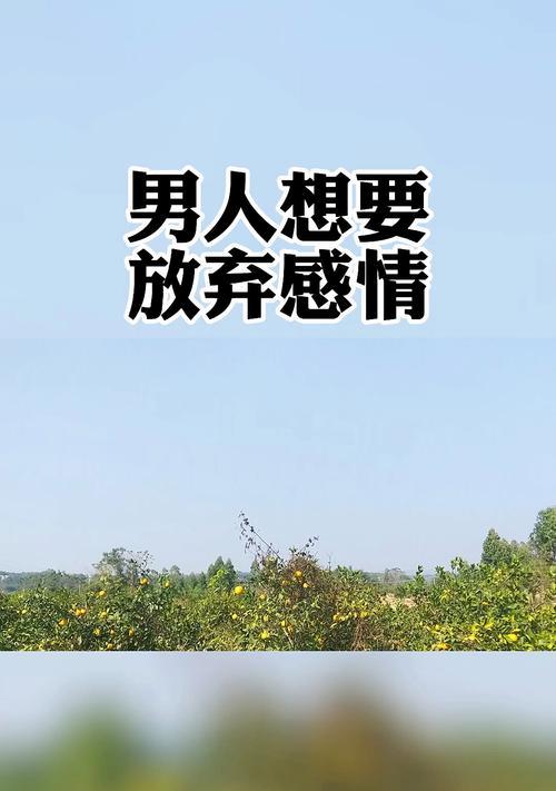 放弃一段爱情的句子有哪些？如何用文字表达放弃爱情的痛苦？