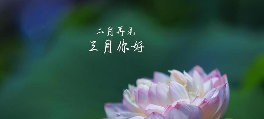 二月再见三月你好朋友圈好句2023怎么发？有哪些精选句子推荐？