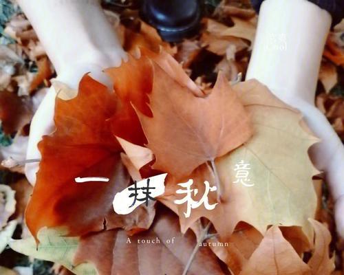 秋天第一杯奶茶代表什么心情？如何表达这份温暖？