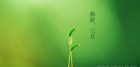 二月你好朋友圈感慨句子说说？如何用一句话表达新年的期待和希望？