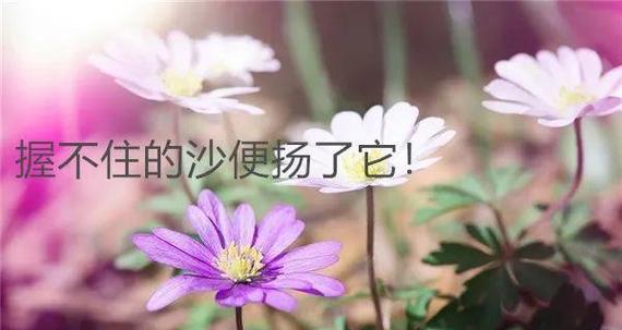 二月第一天的心情语录有哪些？如何表达当月第一天的情感？