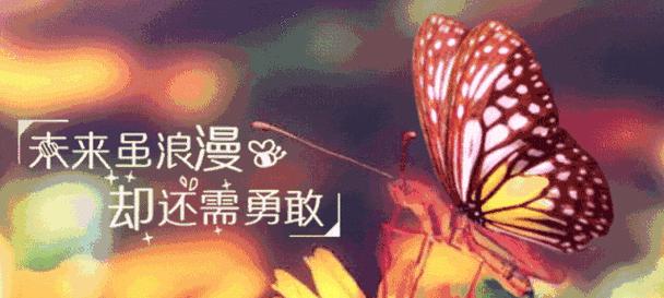 二月第一天的心情语录有哪些？如何表达当月第一天的情感？