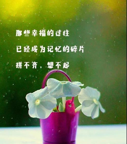 二月第一天的心情语录有哪些？如何表达当月第一天的情感？