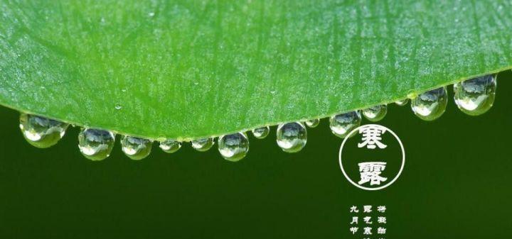 寒露节气祝福语怎么说？有哪些寓意深刻的句子？