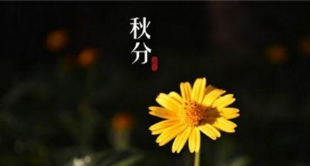 秋分有哪些经典简短的谚语？这些谚语背后有何深意？