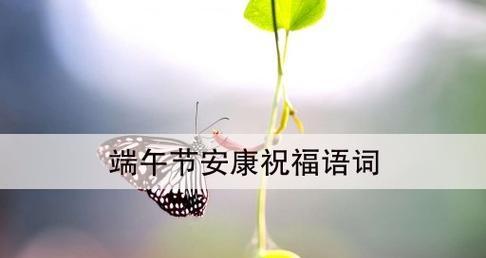 端午节祝福语简单2023怎么写？有哪些创意祝福语推荐？