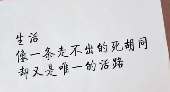 抖音里伤心独白的句子有哪些？如何用它们表达情感？