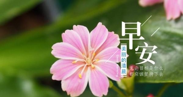 冬天来了如何发朋友圈表达心情？有哪些适合的短语？