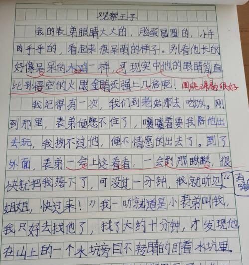 一篇关于有特点的人的作文（《特立独行》）
