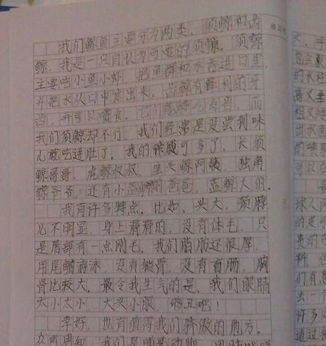 以刻苦铭心不馁为话题的作文怎么写（《刻苦铭心不馁，勇闯险境》）