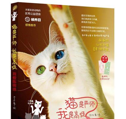 以严师必出高徒为话题的作文怎么写（《严师必出高徒》）