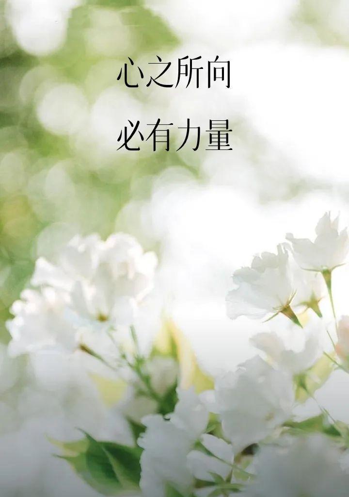 以星光不问赶路人为话题的作文怎么写（《TheStarlightthatGuidestheWay》）