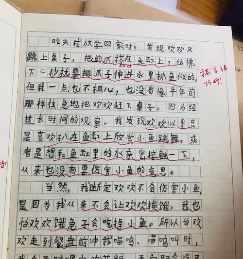 有关眼中的缤纷世界的作文怎么写（《缤纷世界的秘密》）