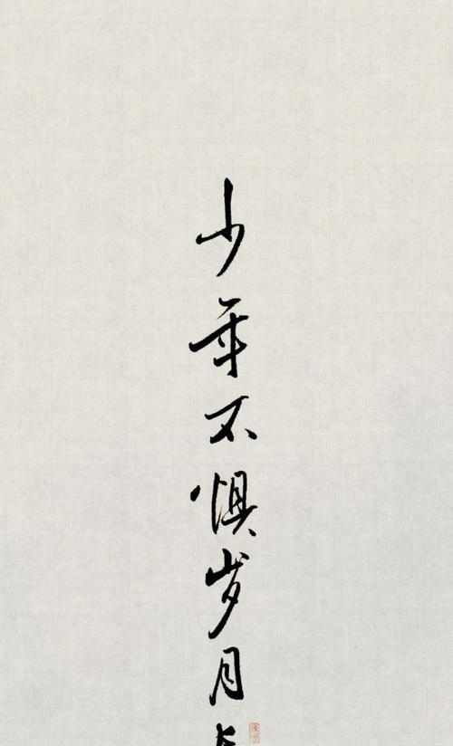 少年不惧岁月长长怎么读（《少年不惧岁月长》）