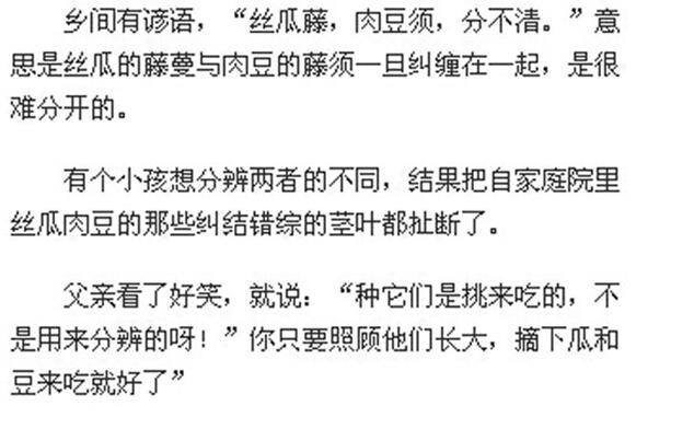 有关会照顾人的老师的作文怎么写（《会照顾人的老师》）
