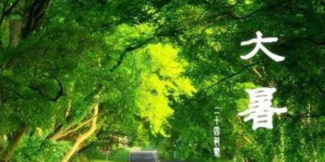 大暑唯美句子朋友圈说说2023怎么写？有哪些句子适合分享？