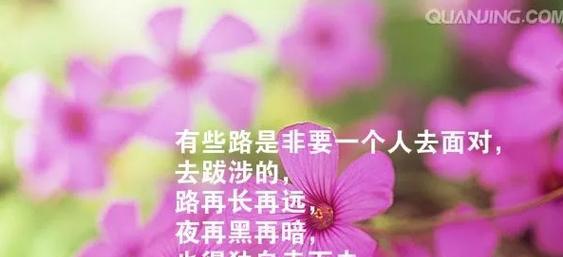 人生感悟洒脱的句子有哪些？如何用这些句子表达洒脱态度？