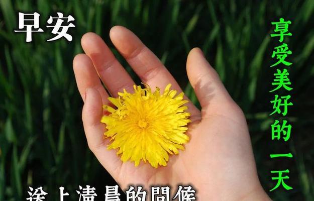 早安打招呼经典语录有哪些？如何选择合适的早安问候语？