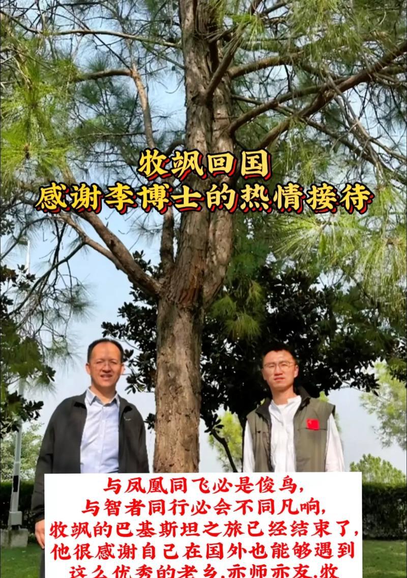 亦师亦友的唯美句子有哪些？如何用它们表达深厚情谊？
