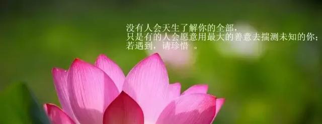 空杯心态的正能量唯美句子有哪些？如何在生活中应用？