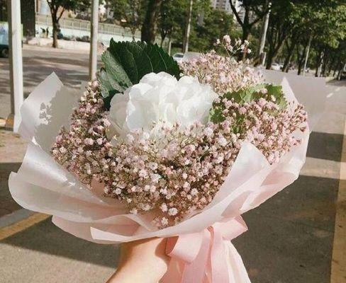 鲜花发朋友圈唯美唯美句子怎么选？发朋友圈时如何搭配？
