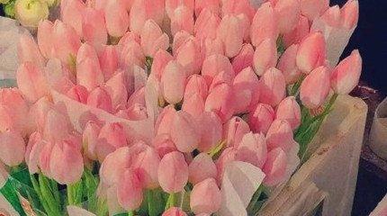花的语句唯美的唯美句子发朋友圈？如何挑选适合发朋友圈的唯美花语？