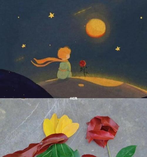 小王子玫瑰的唯美句子有哪些？如何理解它们的深层含义？