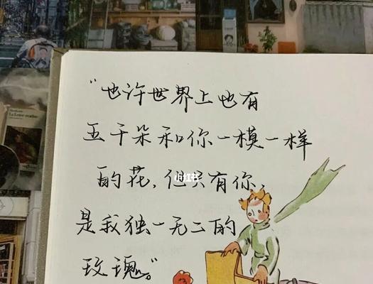 小王子玫瑰的唯美句子有哪些？如何理解它们的深层含义？