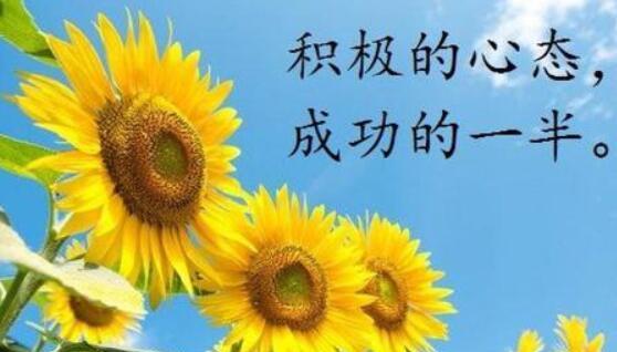 如何体现认真对待工作的态度？唯美句子有哪些？