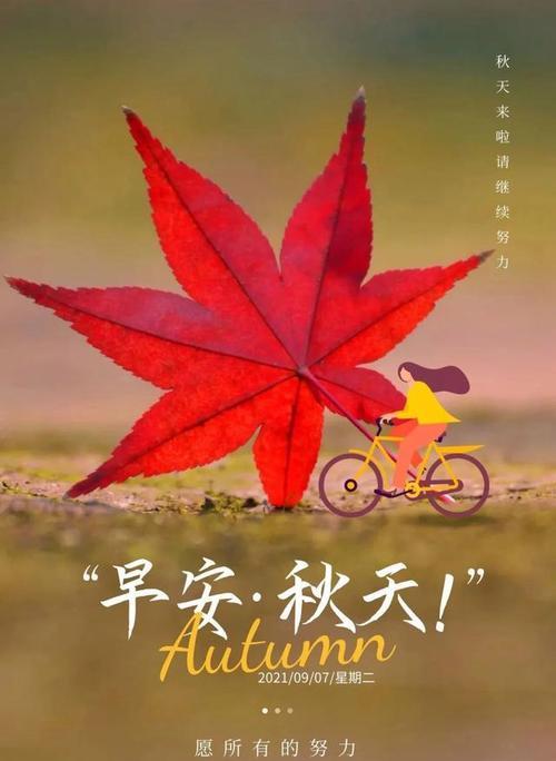 如何用正能量唯美句子提升客户满意度？