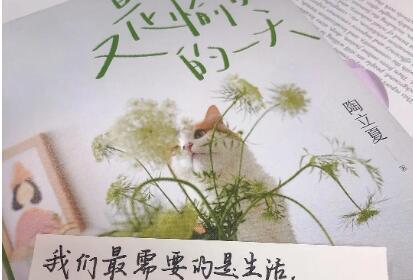 送给不知足女人的唯美句子有哪些？如何表达对她们的欣赏和理解？