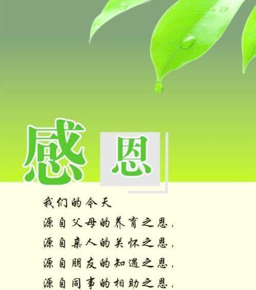 如何用唯美句子表达对志愿者的感谢？