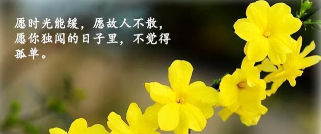 司机辛苦的唯美句子大全有哪些？如何表达对司机的敬意？